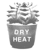 DRY HEAT WORLD