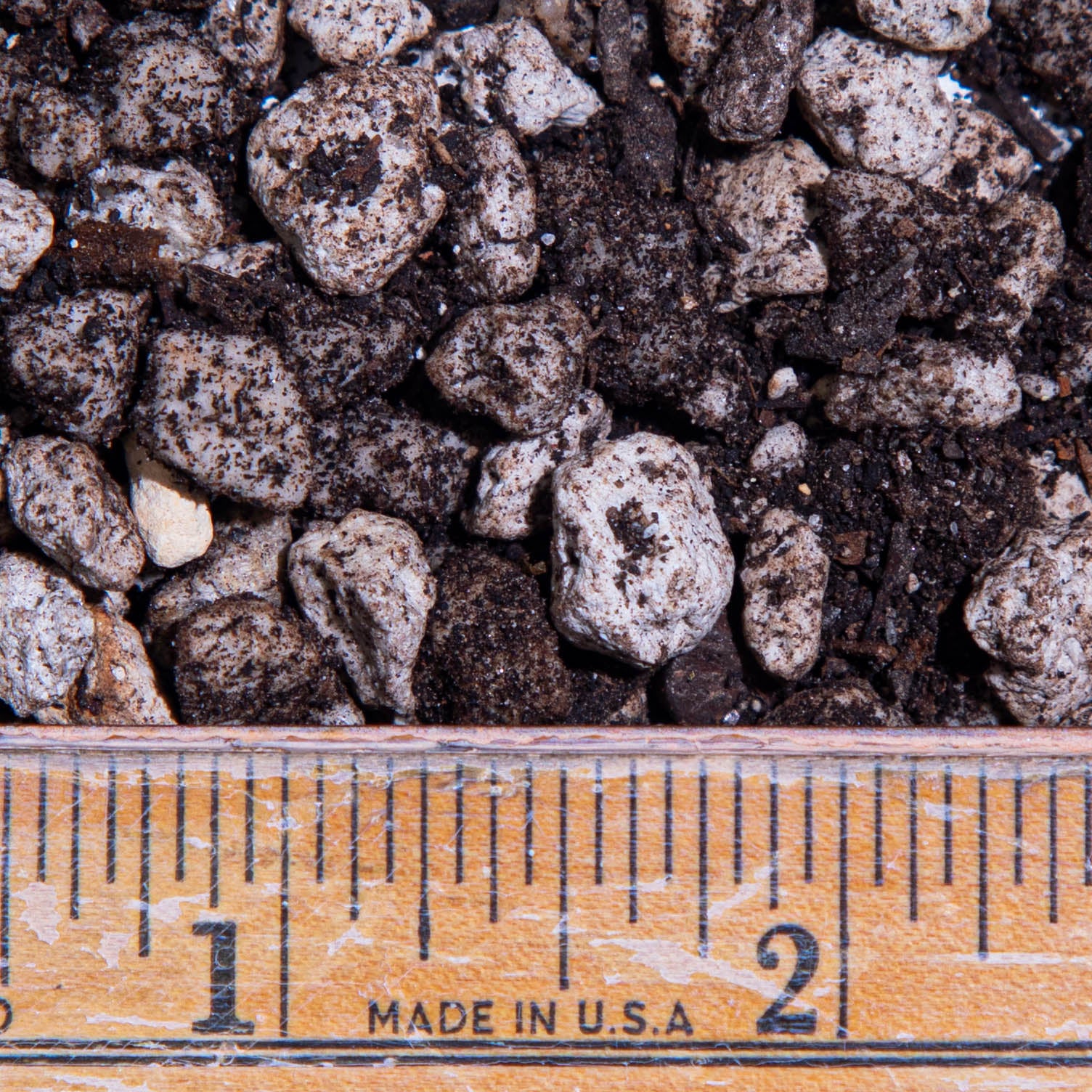 No-nonsense Cactus Mix – DRY HEAT WORLD