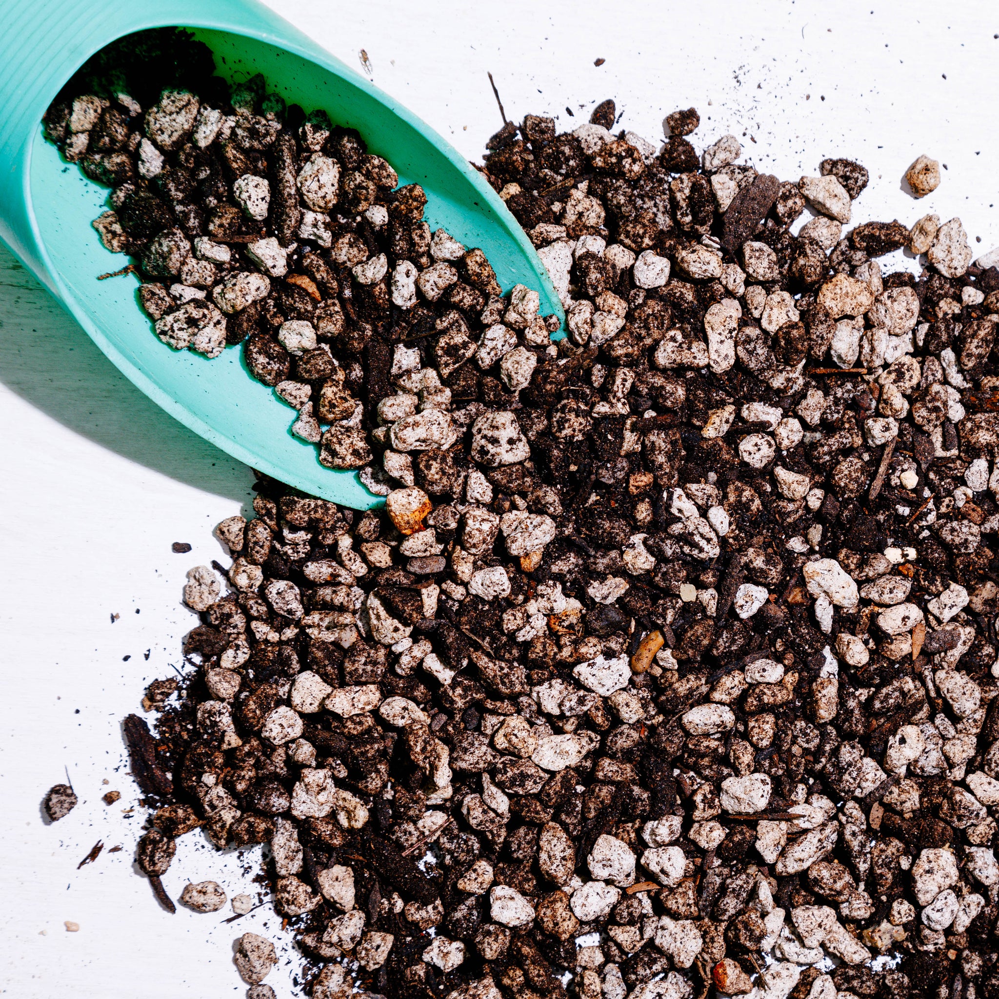 pumice for cactus soil No-nonsense Cactus Mix – DRY HEAT WORLD
